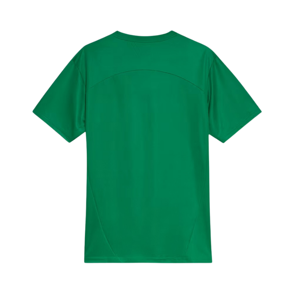 Jersey Palmeiras 25/26 Training verde