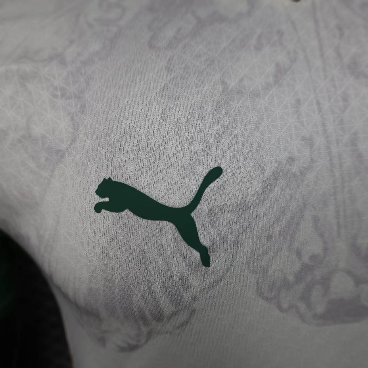 Palmeiras Away Authentic Player [Slim Fit] Player Slim Fit 2025 - Club World Cup [Slim Fit]