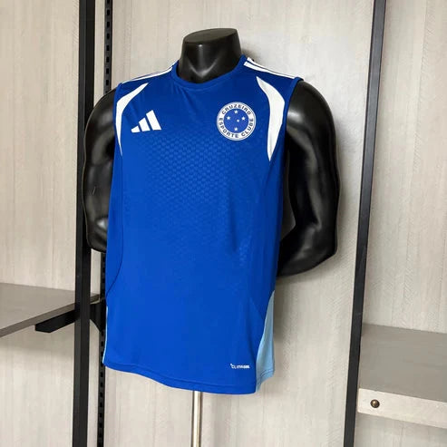 Regata Cruzeiro Treino 2026
