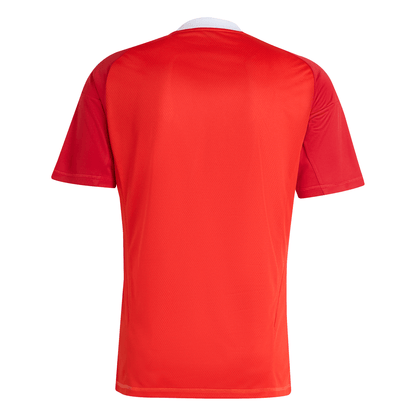Manto Flamengo Goalkeeper 3 2025 - Patrocinio Fan Version