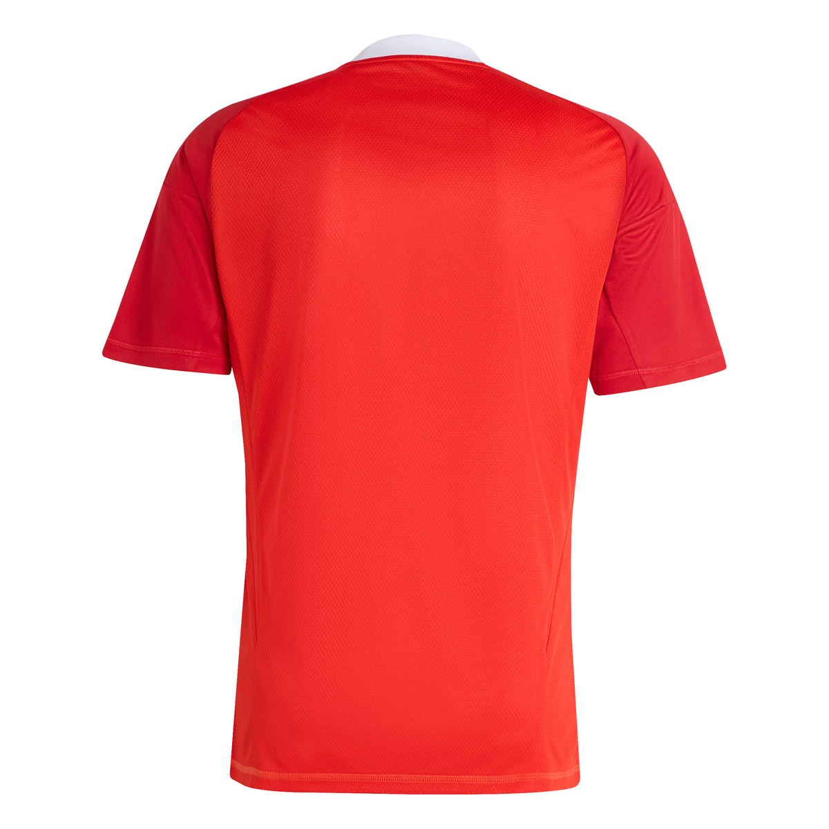 Manto Flamengo Goalkeeper 3 2025 - Fan Version