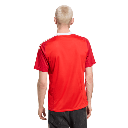 Manto Flamengo Goalkeeper 3 2025 - Fan Version