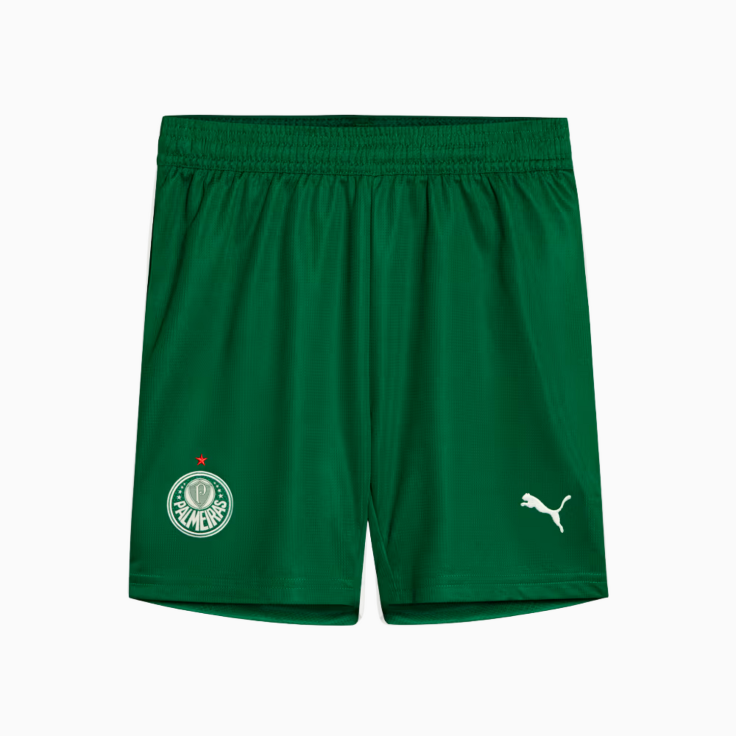 Shorts Palmeiras 2025 II – Fan Version