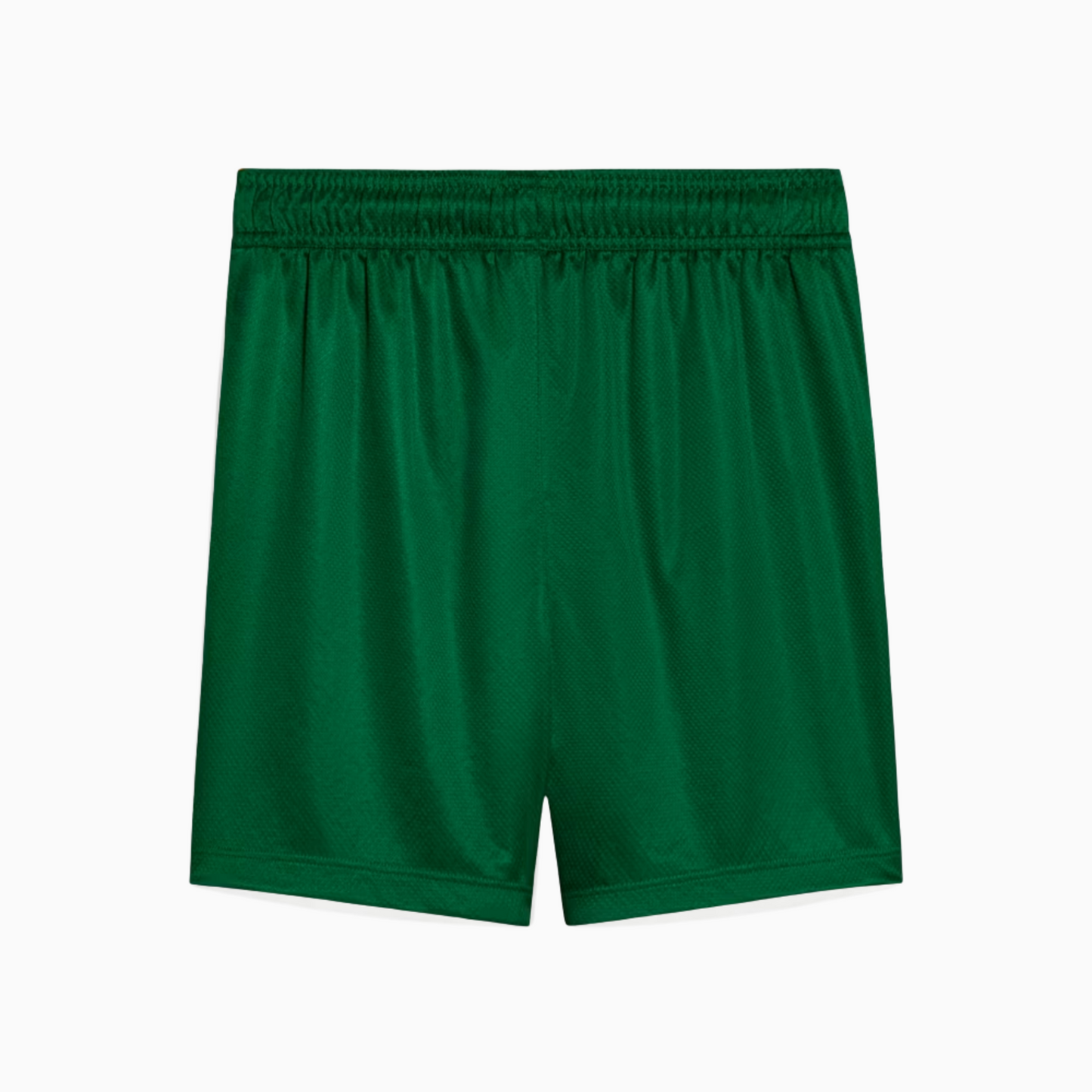 Shorts Palmeiras 2025 II – Fan Version