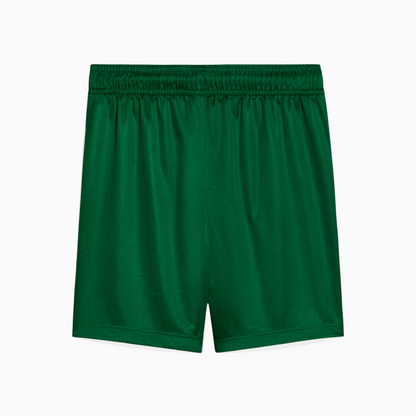 Shorts Palmeiras 2025 II – Fan Version