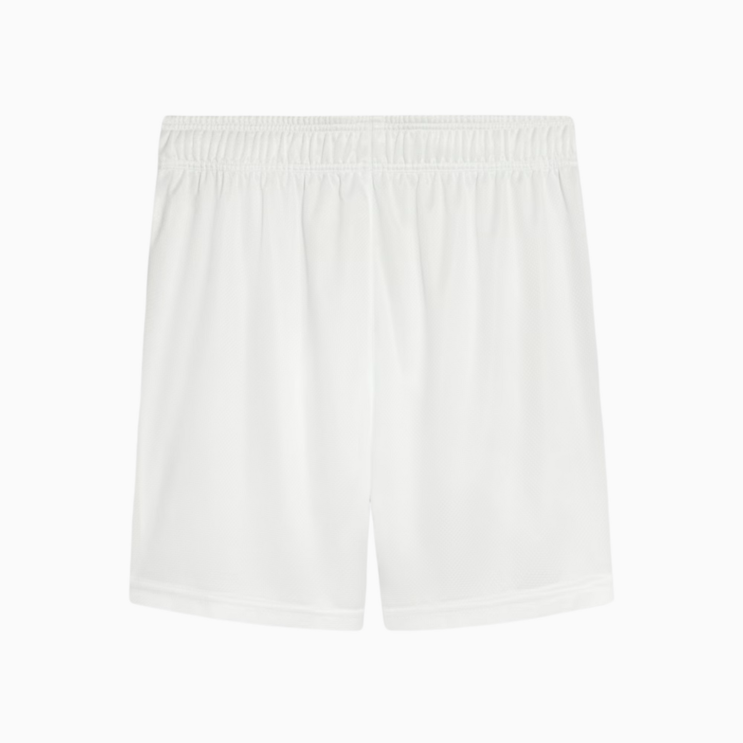 Shorts Palmeiras 2025 I – Fan Version