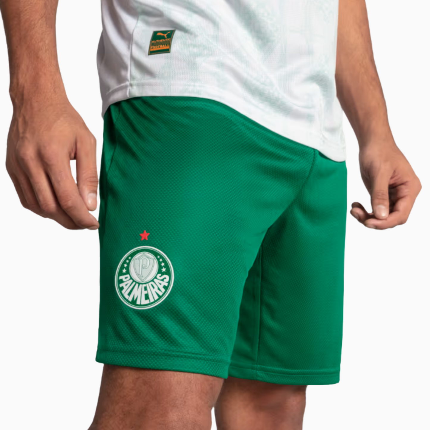 Shorts Palmeiras 2025 II – Fan Version