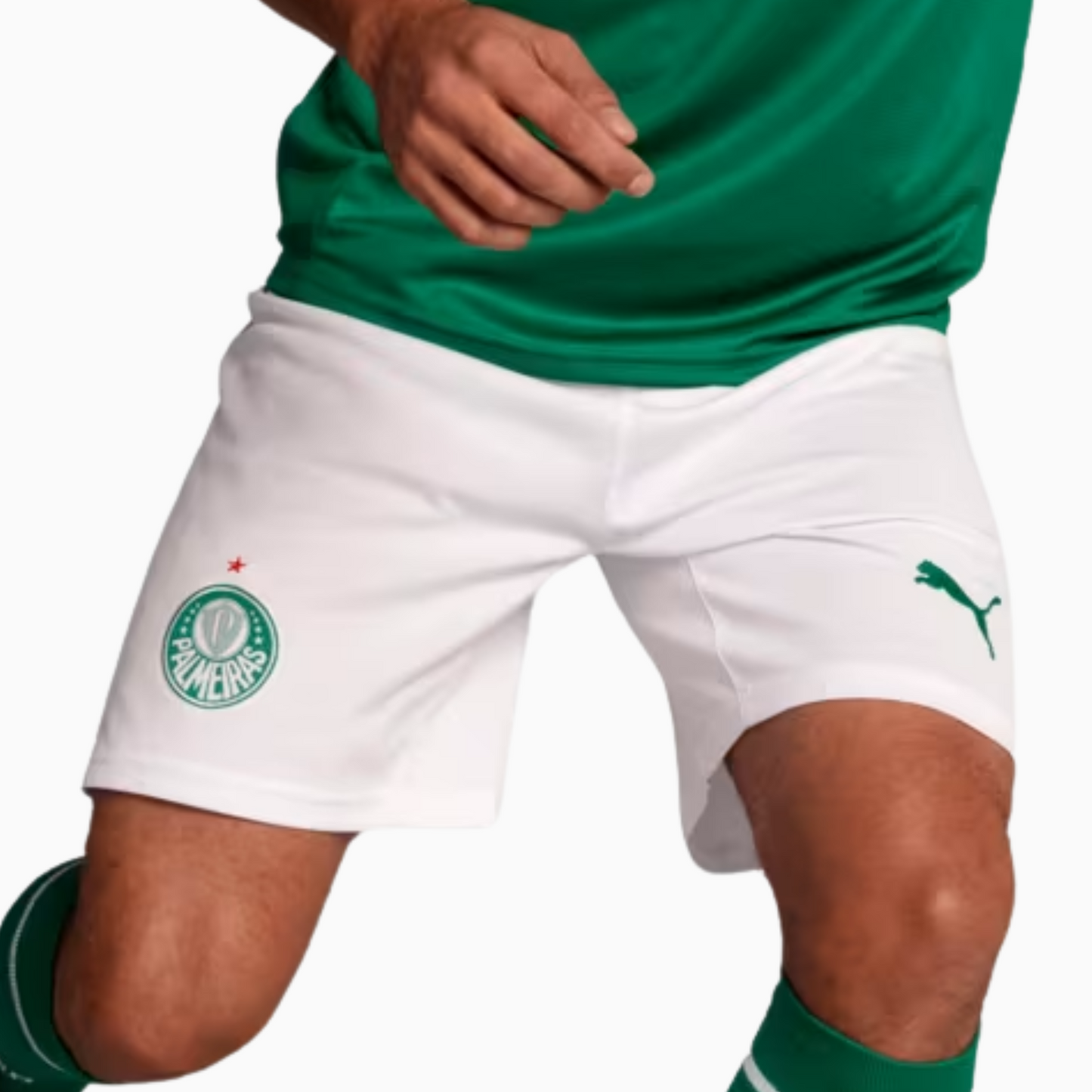 Shorts Palmeiras 2025 I – Fan Version