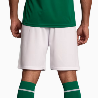 Shorts Palmeiras 2025 I – Fan Version