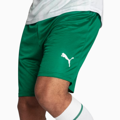 Shorts Palmeiras 2025 II – Fan Version