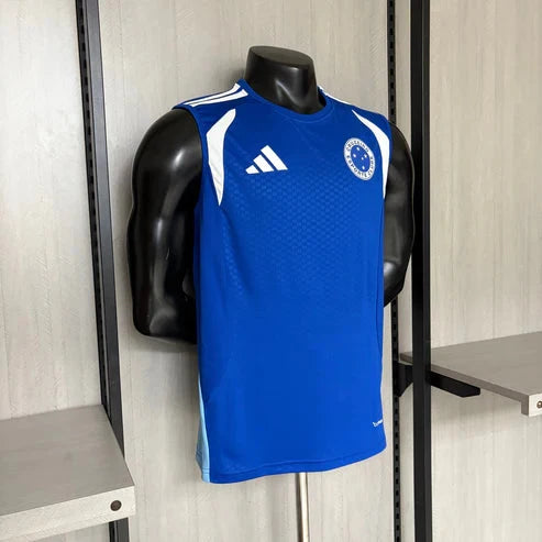 Regata Cruzeiro Treino 2026