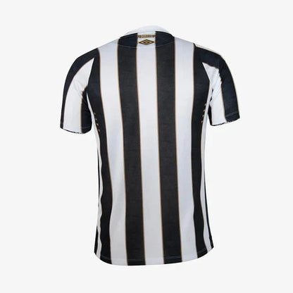 Jersey Men's Santos 2024/25 II Fan Version