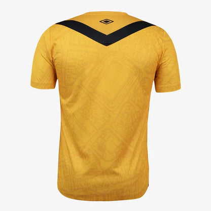 Jersey Men's Santos 2024/25 III