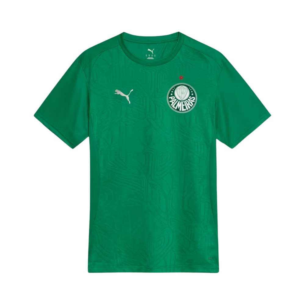 Jersey Palmeiras 25/26 Training verde