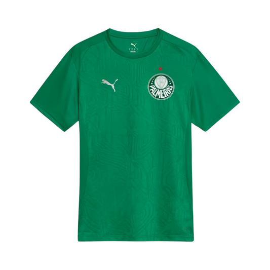 Jersey Palmeiras 25/26 Training verde