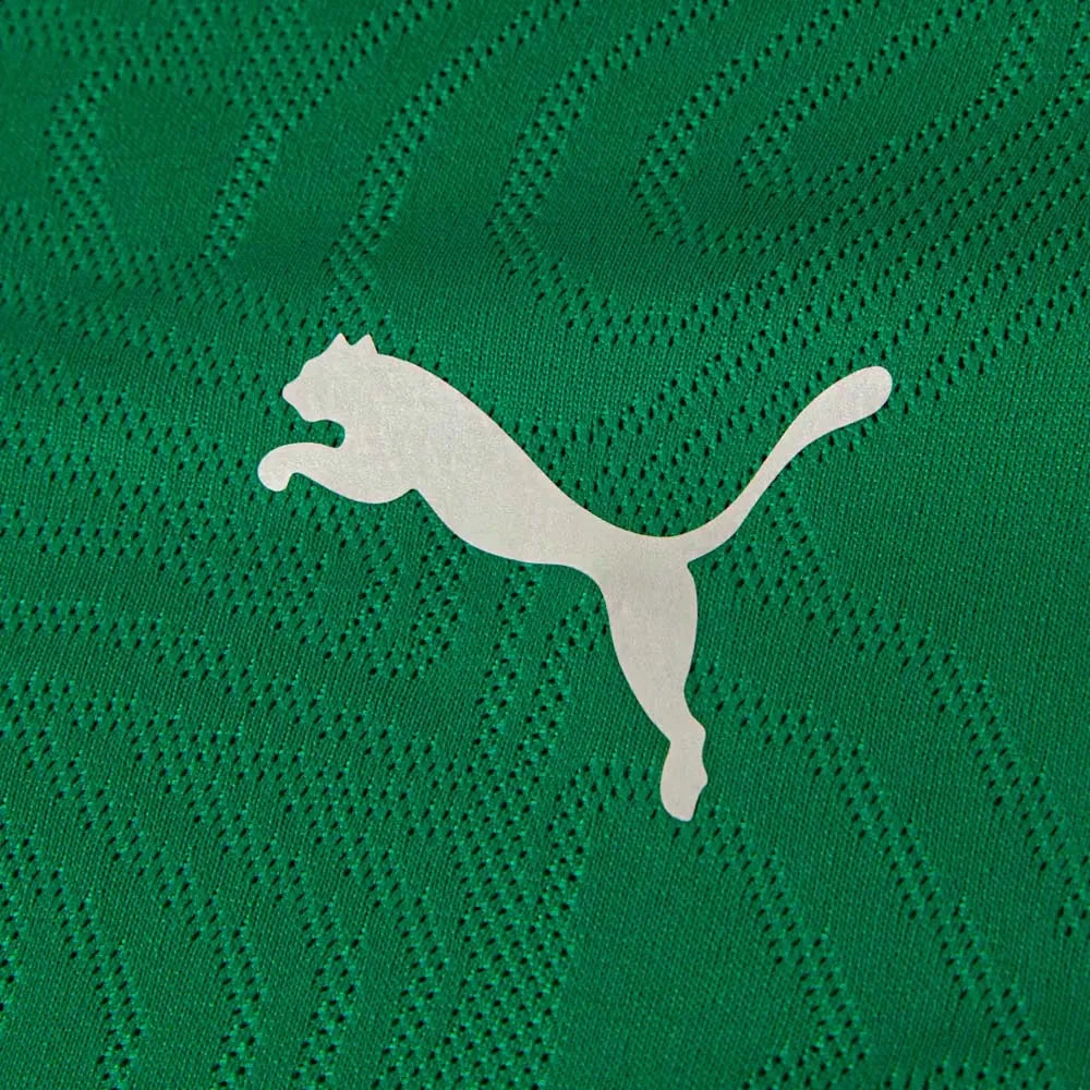 Jersey Fluminense Training Sport Green 2026